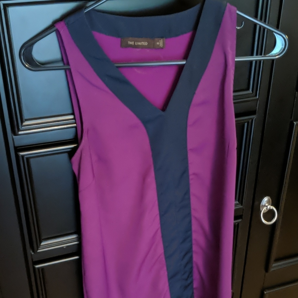 The Limited blouse